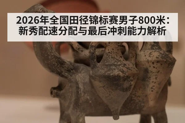 2026年全国田径锦标赛男子800米：新秀配速分配与最后冲刺能力解析