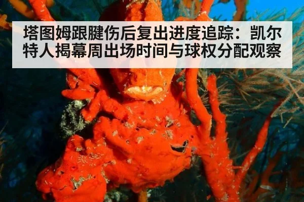 塔图姆跟腱伤后复出进度追踪：凯尔特人揭幕周出场时间与球权分配观察